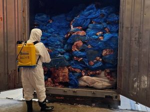 冷凍肉品掩護走私 隆關聯手查獲524箱香菸