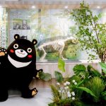 壽山動物園「森林系」解說教育中心 開放展出黑熊「小山」骨骼標本