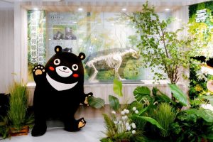 壽山動物園「森林系」解說教育中心 開放展出黑熊「小山」骨骼標本