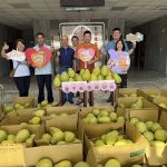 天慧慈善堂贈送麻豆文旦給佳里榮家住民迎中秋