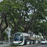 工程護樹到科技監測 捷運局持續守護輕軌綠色廊道