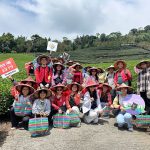 引領國際旅客輕鬆暢遊！台灣好行「一日阿里山」登場！