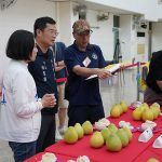 斗六文旦評鑑揭曉 林震源奪特等獎
