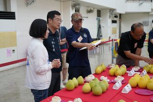 斗六文旦評鑑揭曉 林震源奪特等獎