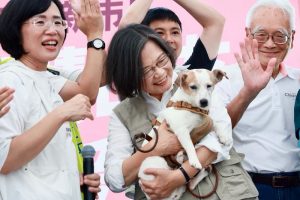 藍綠新北大車拚 民調拉近選情增溫 蔡英文帶愛犬幫蘇巧慧造勢 李四川重申五大醫療政策
