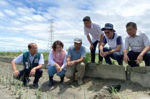 豪雨造成青蔥受損　劉建國籲儘速啟動現金救助