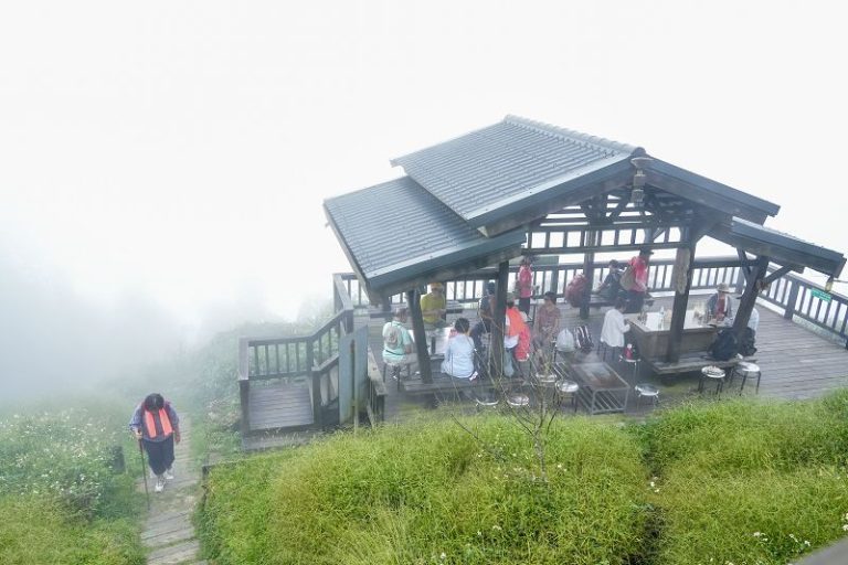 走進茶園稜線賞山景 攻頂嘉義二尖山步道享受山中美食