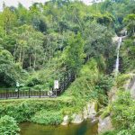 嘉義圓潭瀑布步道賞瀑、逛植物園再吃美食