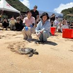 擱淺海龜重返大海 守護海洋生態