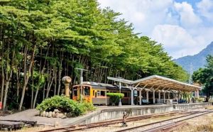 集集支線列車怠速惹怨 台鐵3方案改善