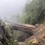 薔琵狂襲南投 樹倒路坍災情頻傳