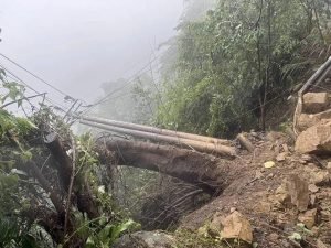 薔琵狂襲南投 樹倒路坍災情頻傳