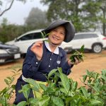從執著到放下 李碧娥編織在地善緣