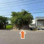 代為標售115年度第2批祭祀公業未能釐清權屬土地 彰縣府開始公告 歡迎參與投標