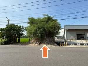 代為標售115年度第2批祭祀公業未能釐清權屬土地 彰縣府開始公告 歡迎參與投標