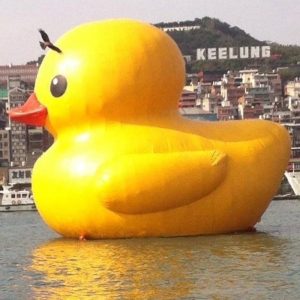 　【幽湖閒話】小黃鴨和黃阿瑪！∕李伯元
