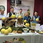 二水白柚評鑑登場 展現農產競爭力