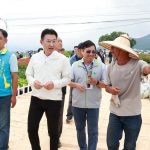 「2026新社花海暨台中國際花毯節」31日起展出