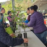 基市府響應國土綠蔭氣候調適計畫