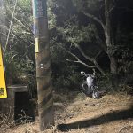夜遊望高寮傳交通意外 2女大生送醫不治