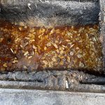 廚餘亂倒水溝 桃園環保局告發限期改善