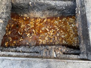 廚餘亂倒水溝 桃園環保局告發限期改善