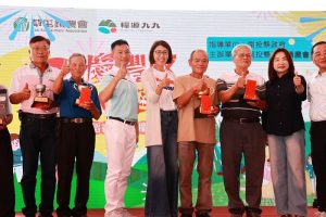 南投草屯千人割稻飯熱鬧登場