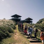草嶺古道芒花季 邀旅人穿越時光