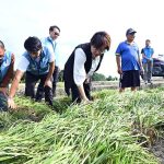 王惠美溪州勘災爭取全品項中央救助