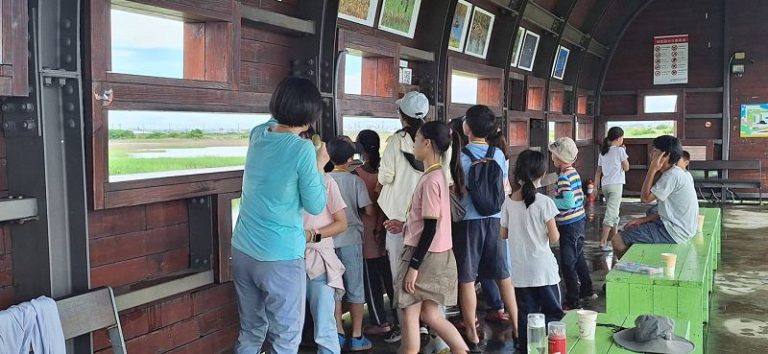 茄萣濕地×生態探索夏令營圓滿落幕