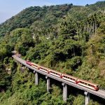 跟著阿里山小火車來去鄒族特富野住一晚 節慶限定遊程開賣
