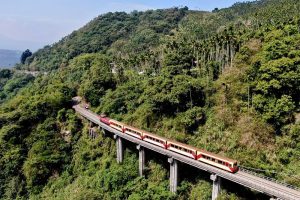 跟著阿里山小火車來去鄒族特富野住一晚 節慶限定遊程開賣