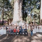 阿里山神木下婚禮20周年喜上嘉喜