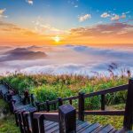 阿里山自駕遊程推薦 帶你玩進山林