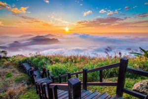 阿里山自駕遊程推薦 帶你玩進山林