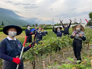 用心不難行願路 陳翠華有愛相伴入經藏