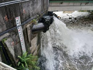 鳥松仁美抽水站增設抽水機 提升抽排量能46%